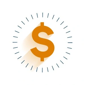 Professional Expertise