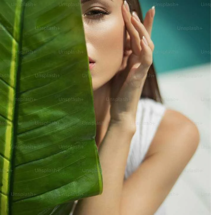 Pleated Fly Net Single Sided